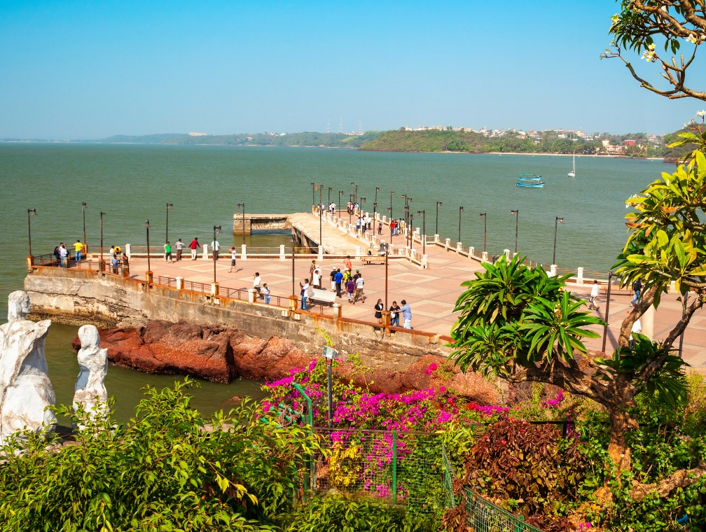 dona paula