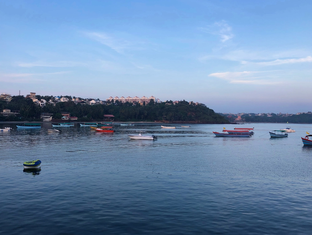 dona paula